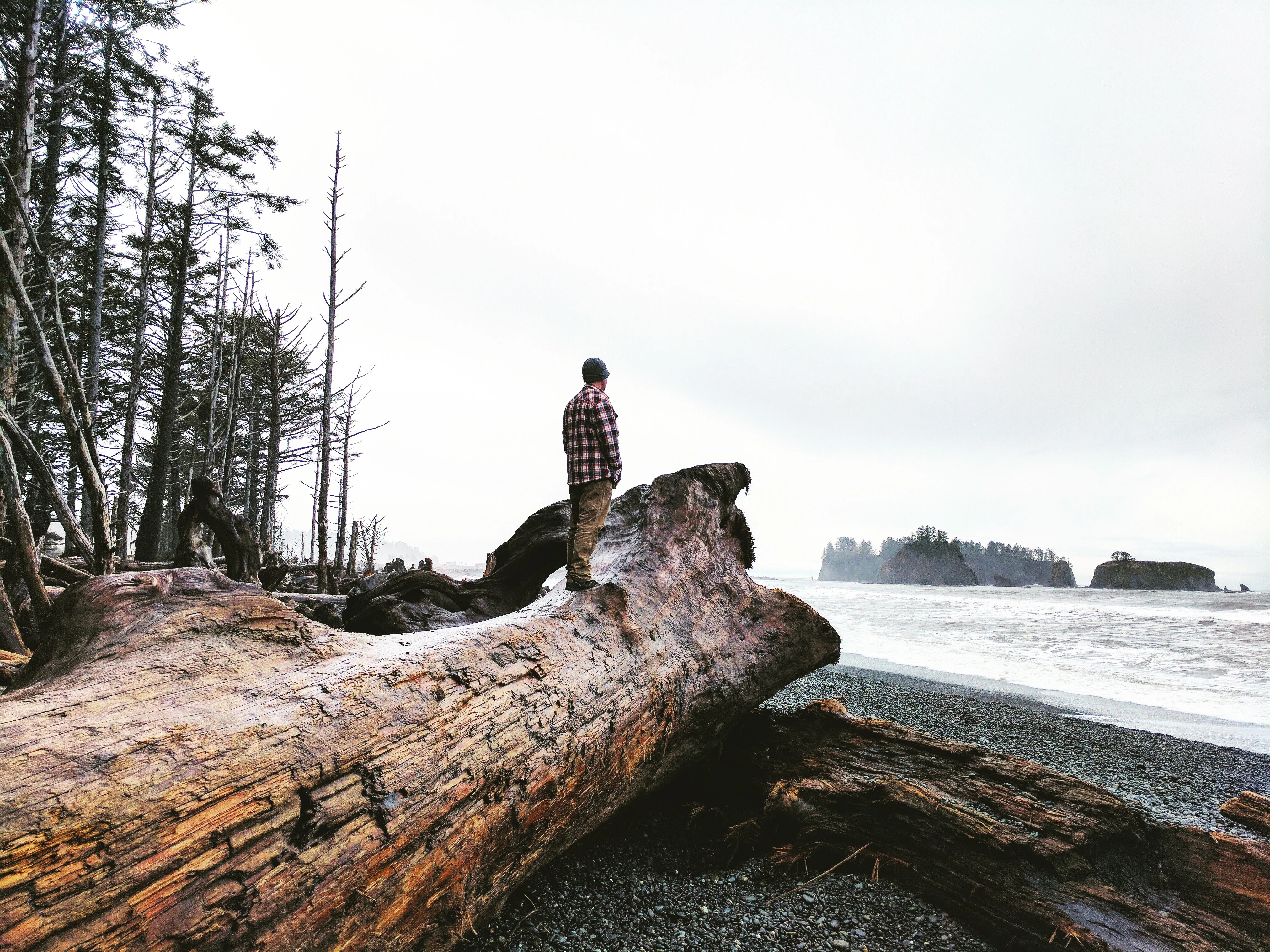 Brandon stands atop a massive driftwood log on Rialto Beach.